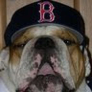 Meet your Posher, Liam